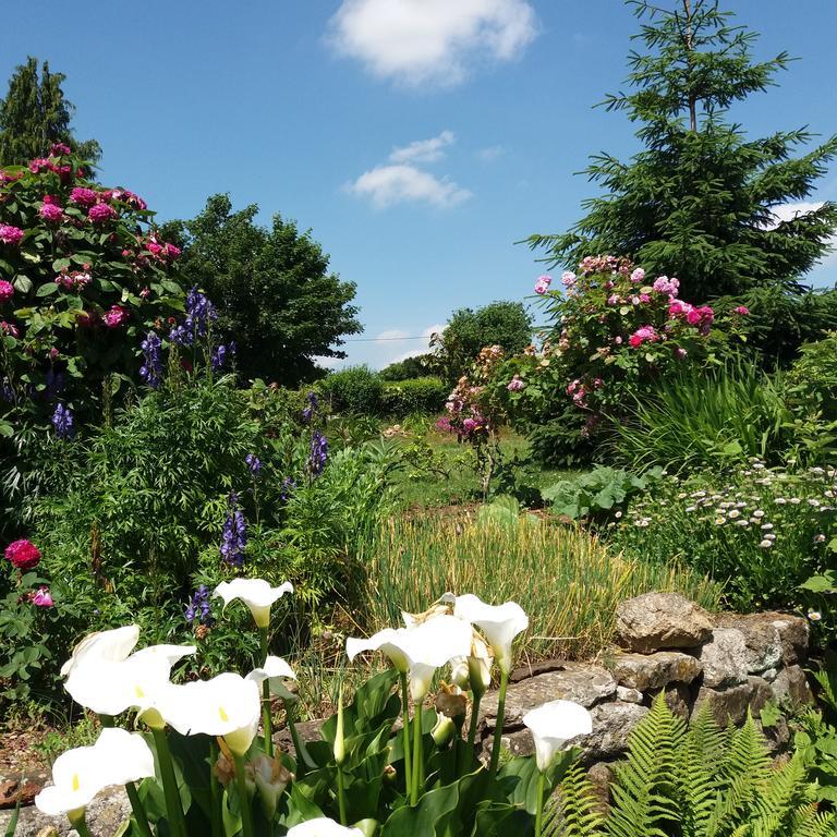 Le Domaine De Kerlys Bed and Breakfast Briec Buitenkant foto