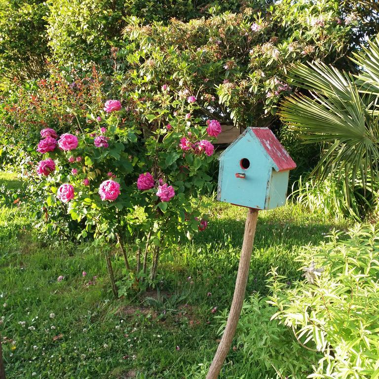 Le Domaine De Kerlys Bed and Breakfast Briec Buitenkant foto